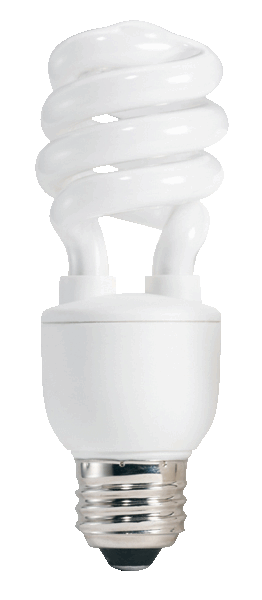 Compact Fluorescent Light Bulb